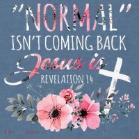 Normal Isnt Coming Back But Jesus Is Revelation 14 Flower Comfort Colors Garment-Dyed Hooded Sweatshirt thumb 2