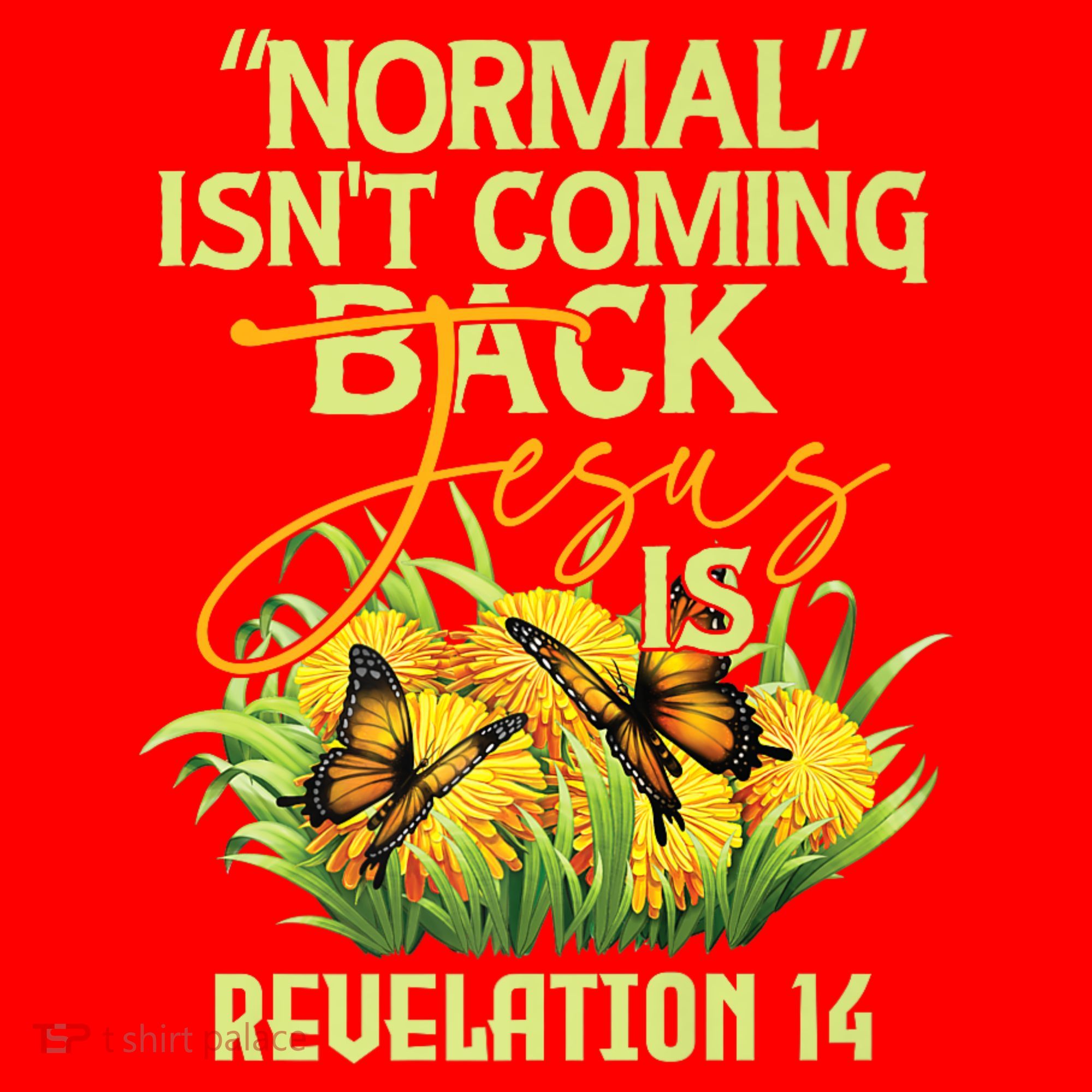 Normal Isnt Coming Back Jesus Is Santa Hat