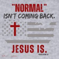 Normal Isnt Coming Back Jesus Is American Flag Cross Women's Sweatshirt thumb 2