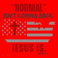 Normal Isnt Coming Back Jesus Is American Flag Cross Santa Hat thumb 1
