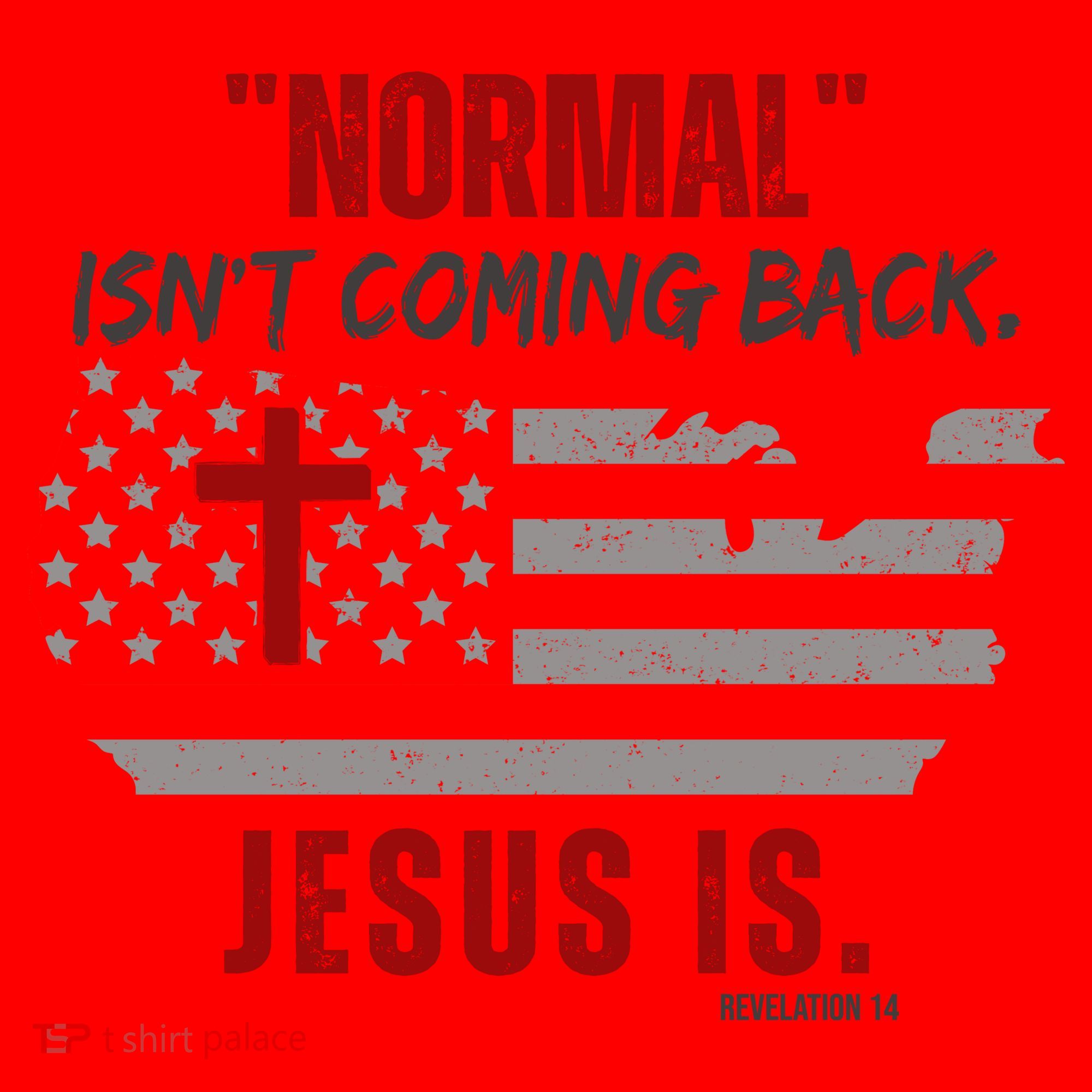 Normal Isnt Coming Back Jesus Is American Flag Cross Santa Hat