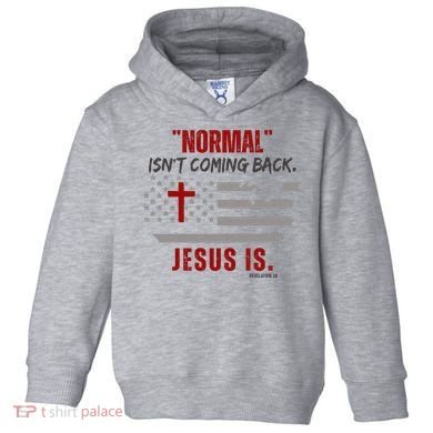 Normal Isnt Coming Back Jesus Is American Flag Cross Toddler Hoodie