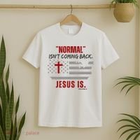 Normal Isnt Coming Back Jesus Is American Flag Cross T-Shirt thumb 2