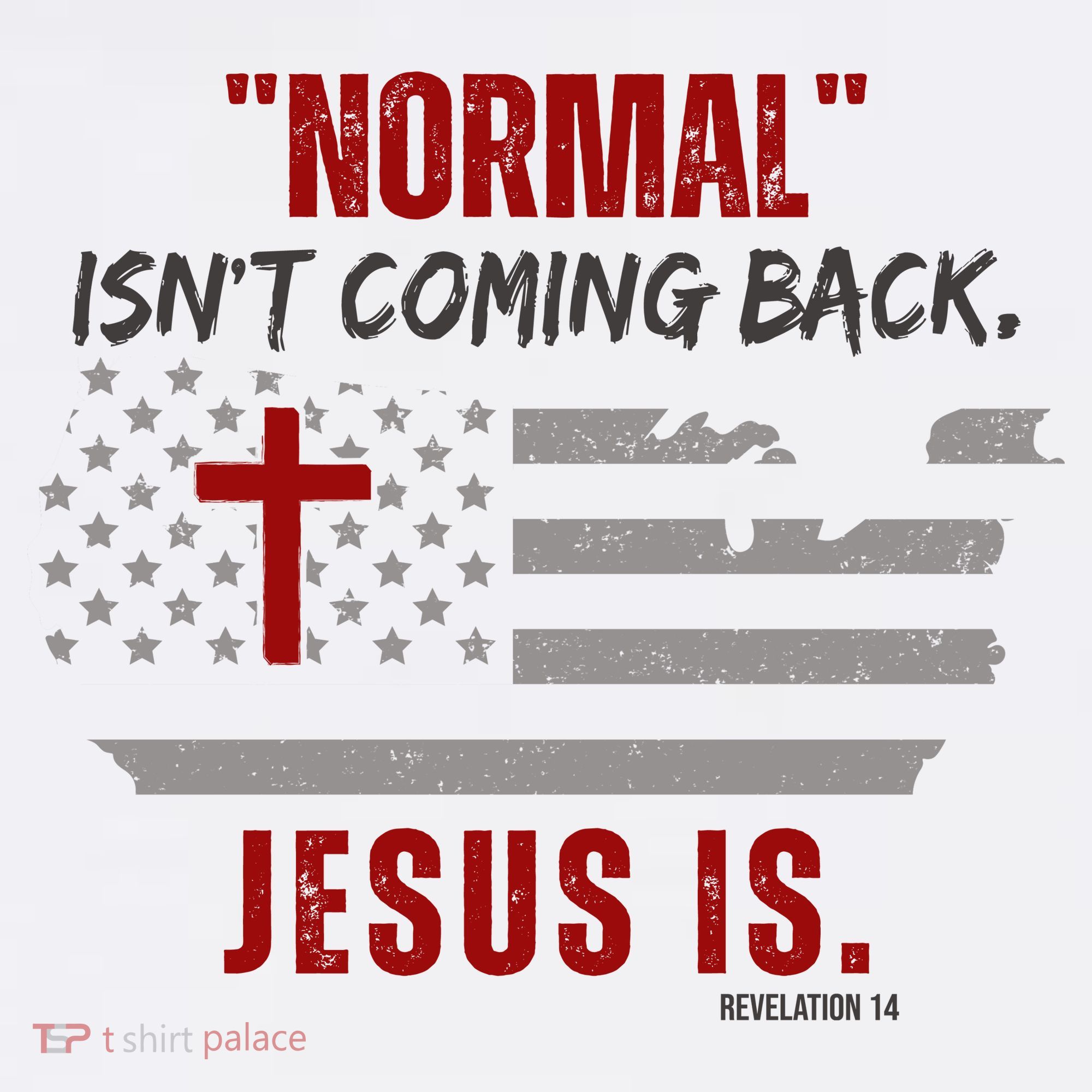 Normal Isnt Coming Back Jesus Is American Flag Cross T-Shirt