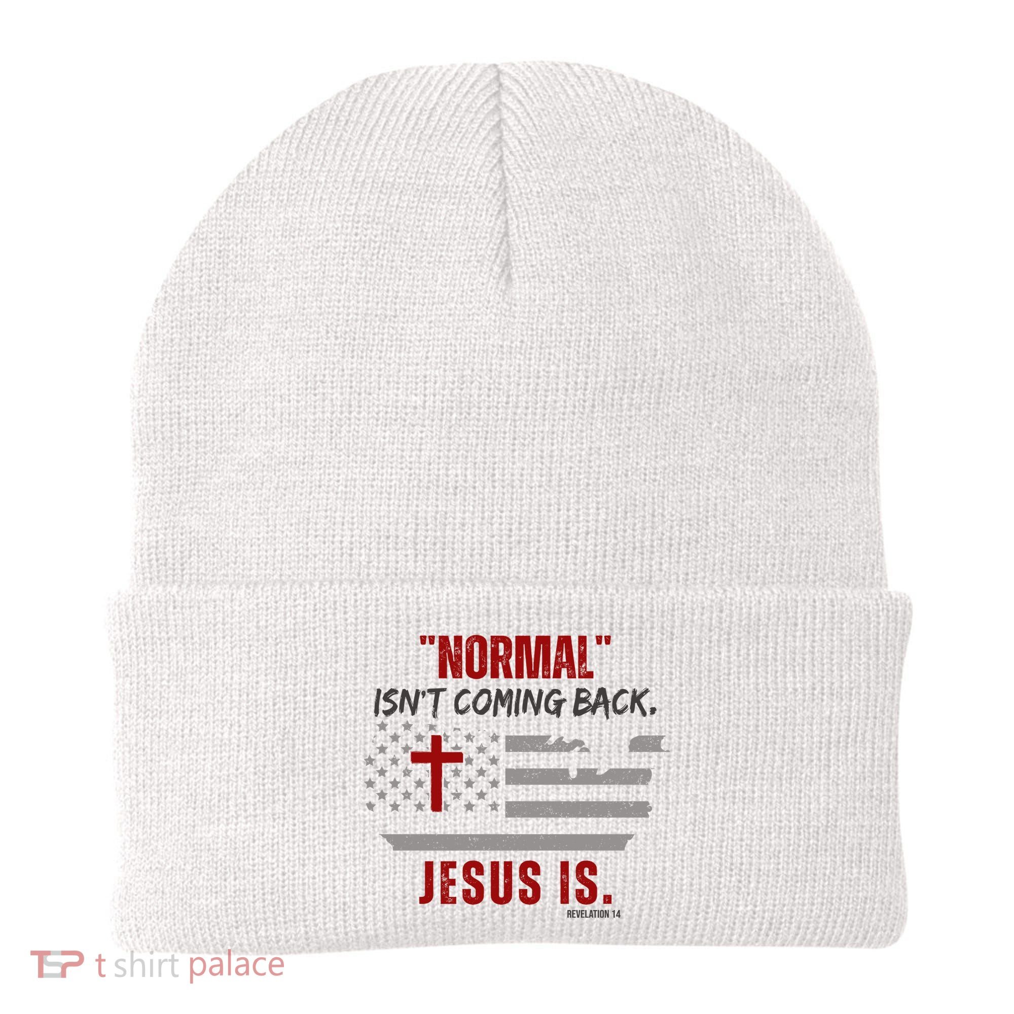 Normal Isnt Coming Back Jesus Is American Flag Cross Beanie
