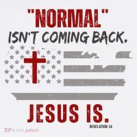 Normal Isnt Coming Back Jesus Is American Flag Cross Mousepad thumb 1