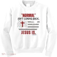 Normal Isnt Coming Back Jesus Is American Flag Cross Kids Sweatshirt thumb 0