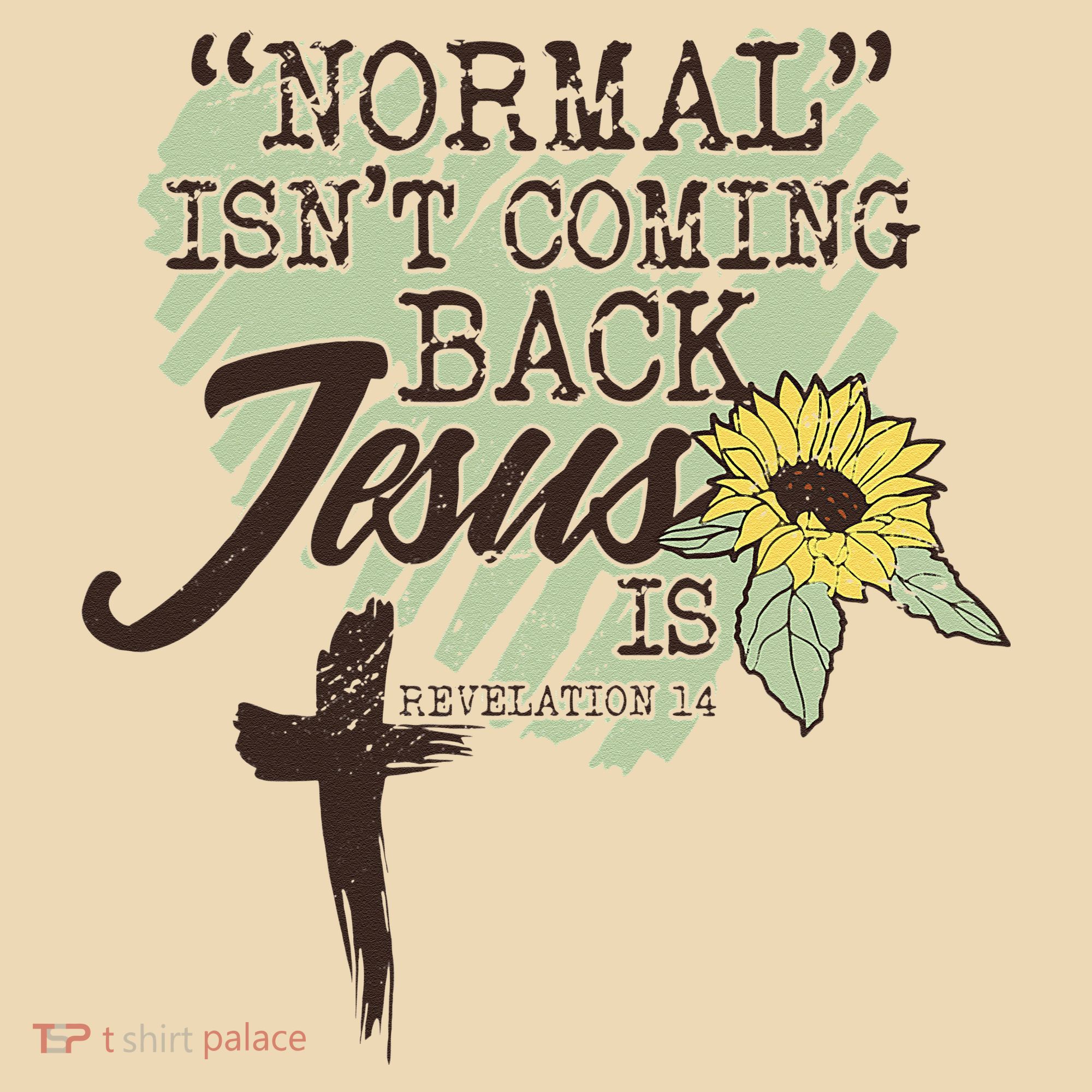 Normal Isnt Coming Back Jesus Is Tote Bag