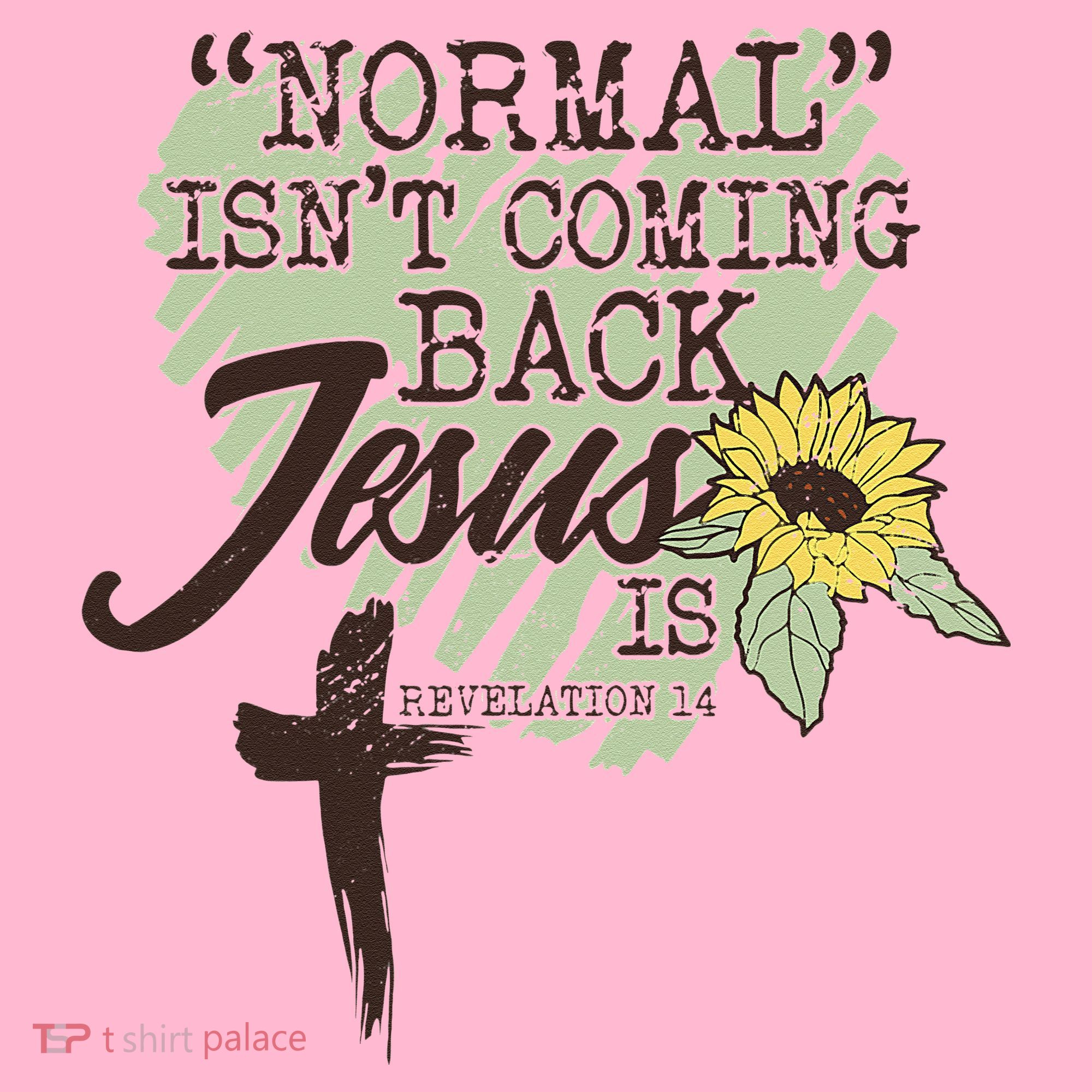 Normal Isnt Coming Back Jesus Is Coaster