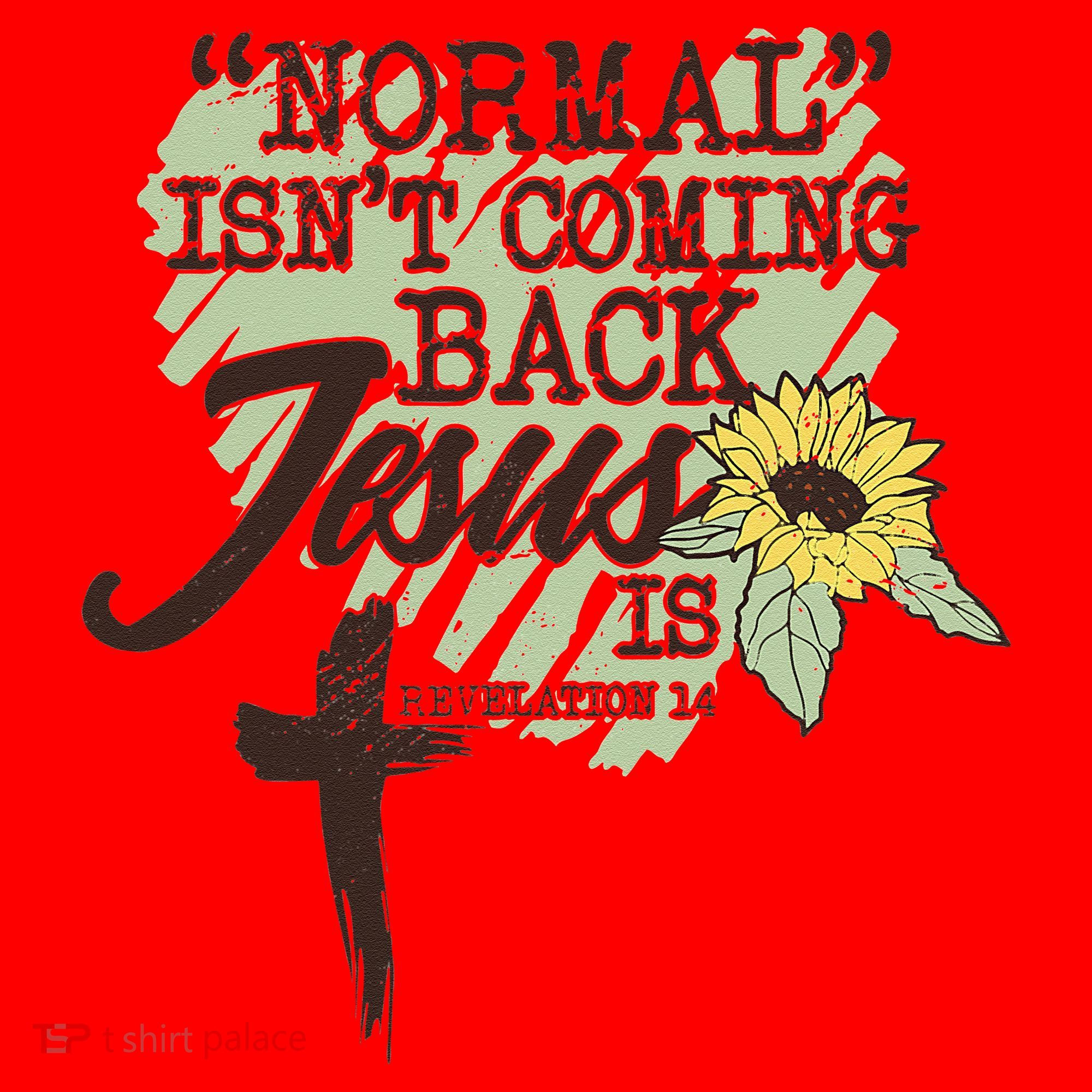 Normal Isnt Coming Back Jesus Is Santa Hat