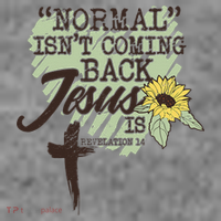 Normal Isnt Coming Back Jesus Is Toddler Hoodie thumb 2