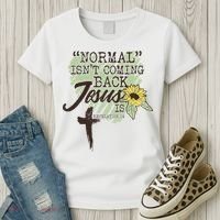 Normal Isnt Coming Back Jesus Is Women's T-Shirt thumb 3