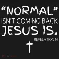 Normal Isnt Coming Back Jesus Is Bucket Hat thumb 4