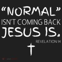 Normal Isnt Coming Back Jesus Is Beanie thumb 2