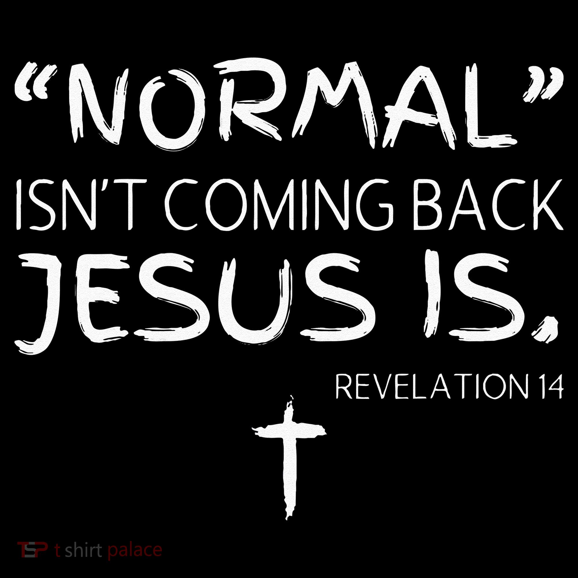 Normal Isnt Coming Back Jesus Is Ornament