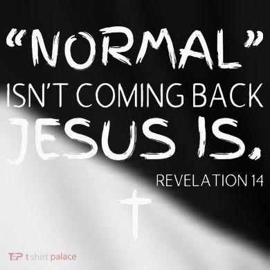 Normal Isnt Coming Back Jesus Is Toddler Fine Jersey T-Shirt