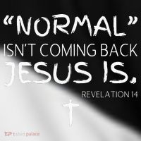 Normal Isnt Coming Back Jesus Is Toddler Fine Jersey T-Shirt thumb 2