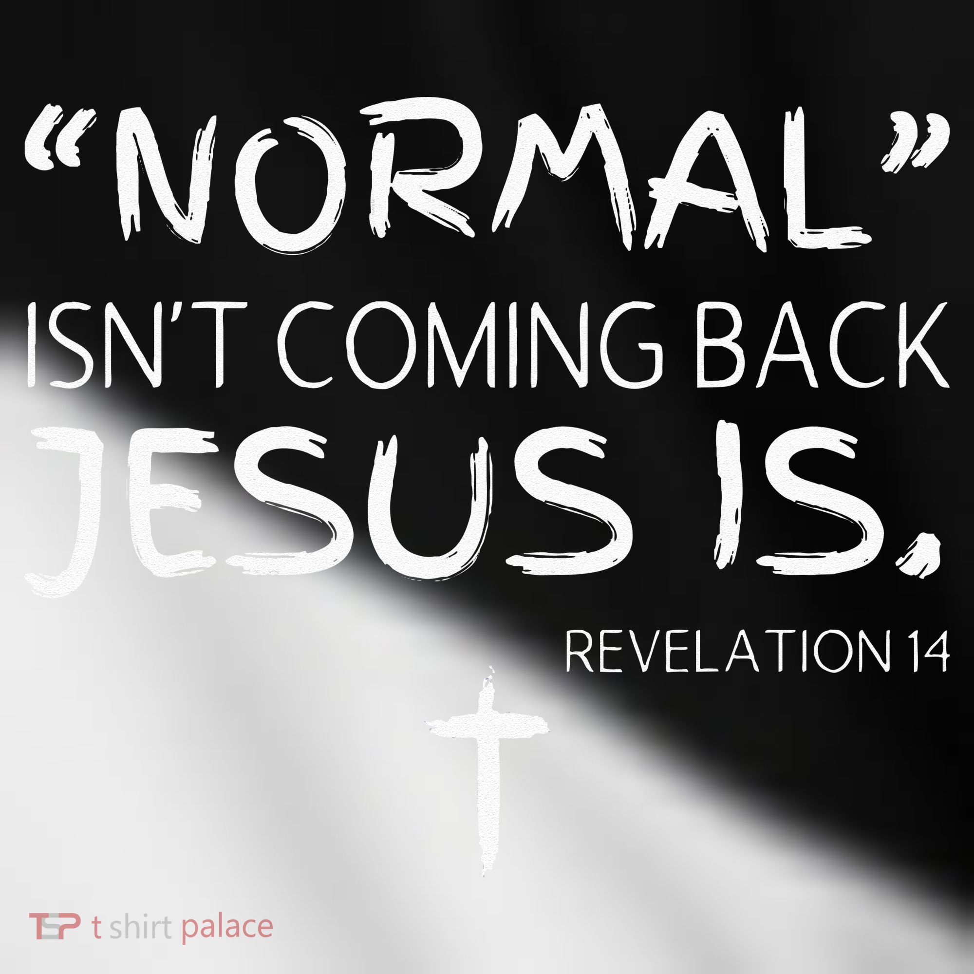 Normal Isnt Coming Back Jesus Is Toddler Fine Jersey T-Shirt