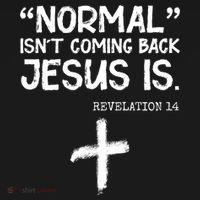 Normal Isn't Coming Back Jesus Is Revelation 14 Women's Tank Top thumb 5