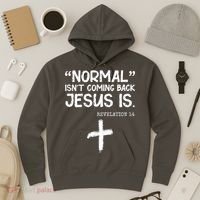 Normal Isn't Coming Back Jesus Is Revelation 14 Hoodie thumb 3