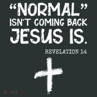 Normal Isn't Coming Back Jesus Is Revelation 14 T-Shirt thumb 7