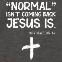 Normal Isn't Coming Back Jesus Is Revelation 14 Vector Backpack thumb 2