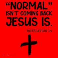 Normal Isn't Coming Back Jesus Is Revelation 14 Santa Hat thumb 1
