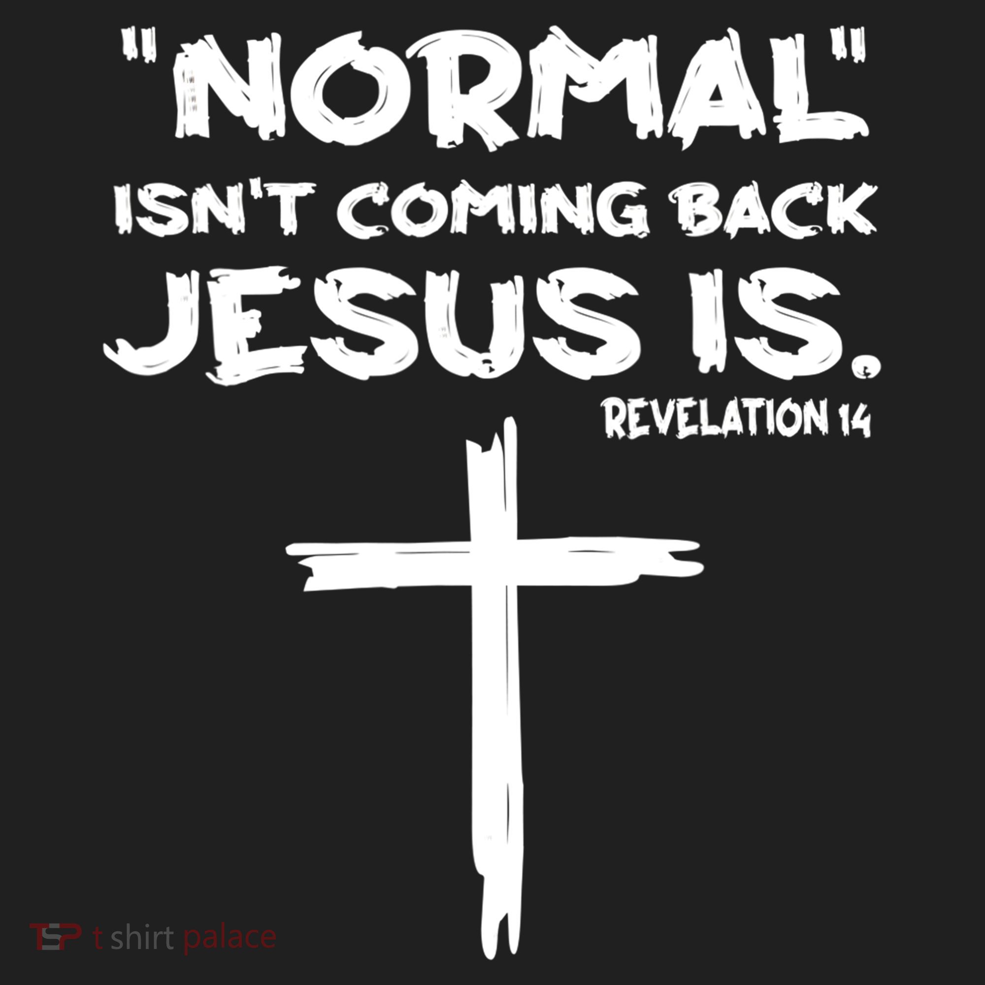 Normal Isnt Coming Back Jesus Is Women's Sweatshirt