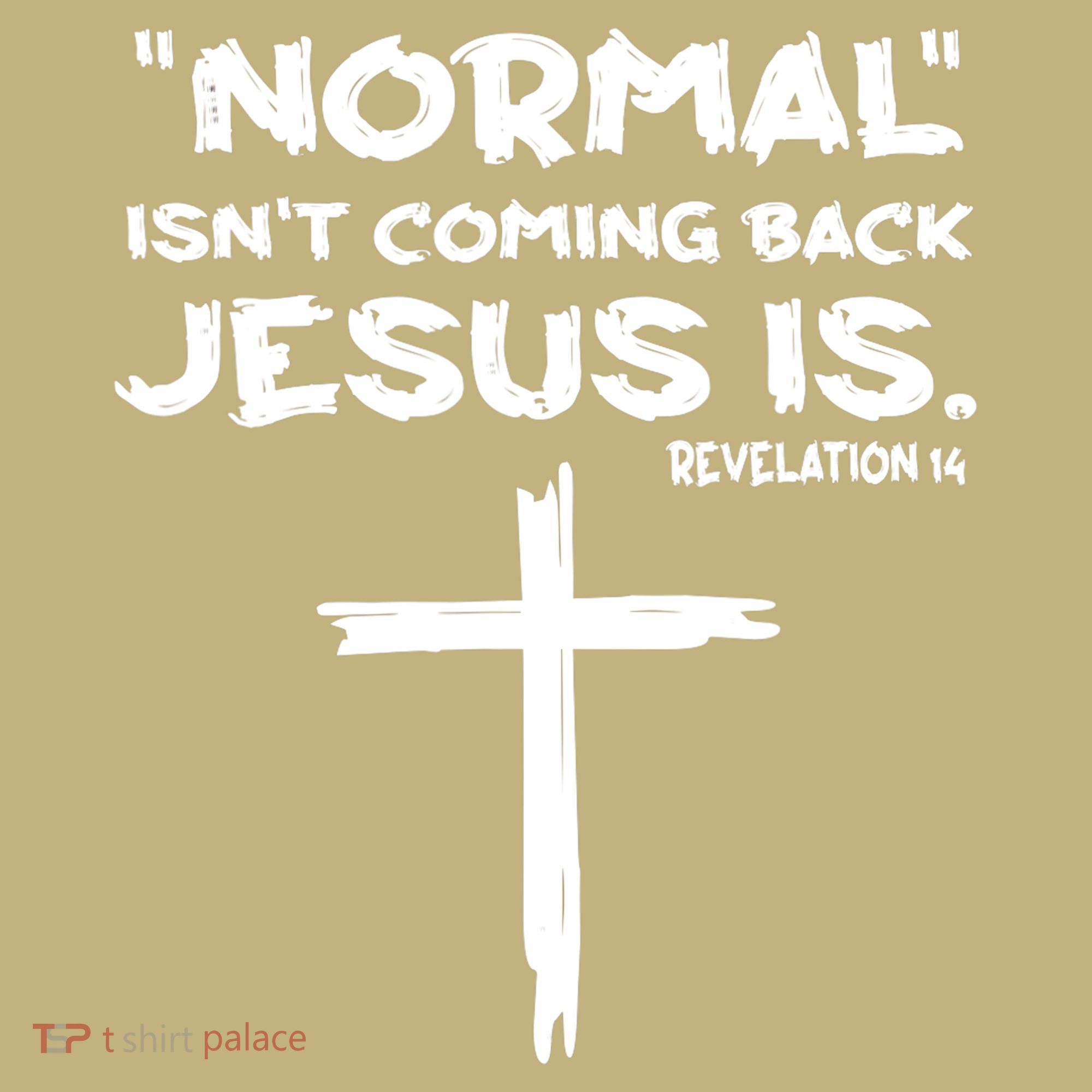 Normal Isnt Coming Back Jesus Is Hoodie
