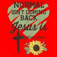 Normal Isnt Coming Back Jesus Is Christian Santa Hat thumb 1