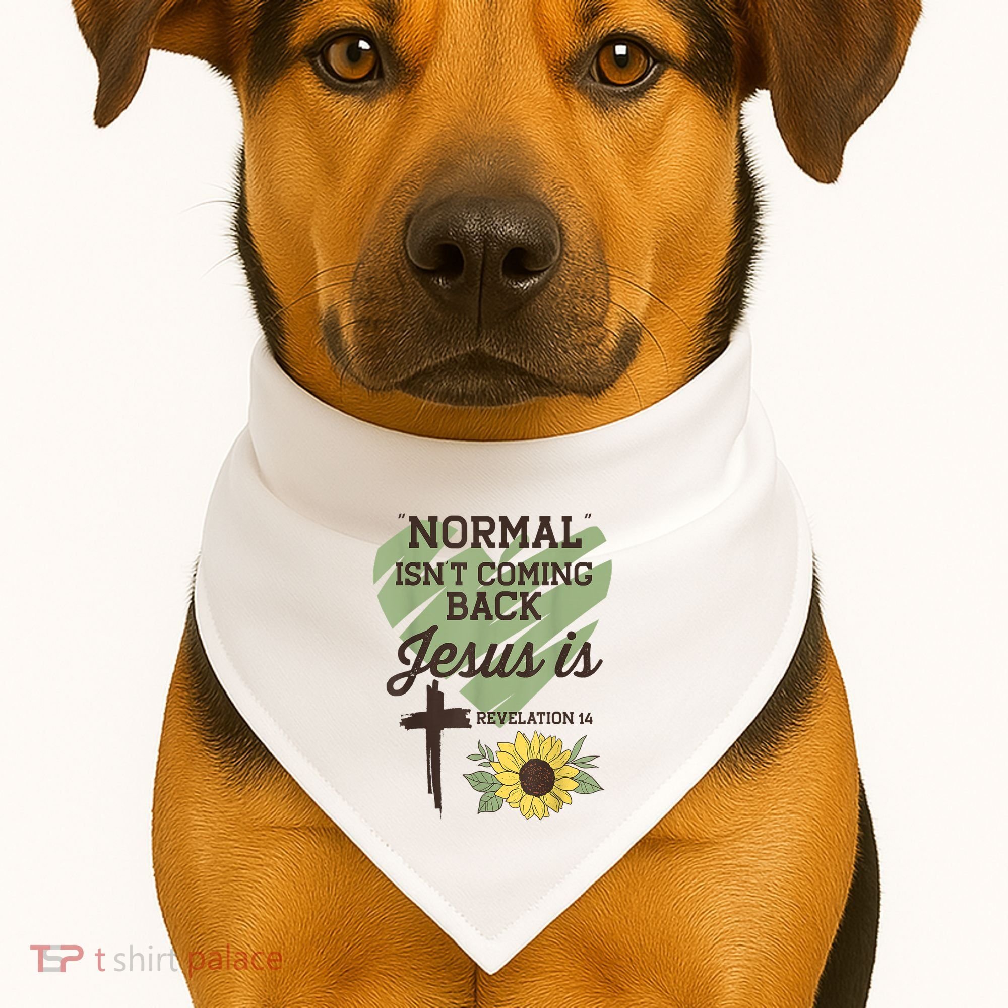 Normal Isnt Coming Back Jesus Is Christian USA-Made Doggie Bandana