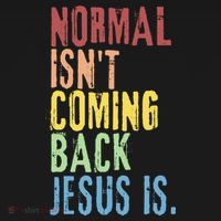 Normal Isn't Coming Back Jesus Is Funny Christian Republican T-Shirt thumb 7