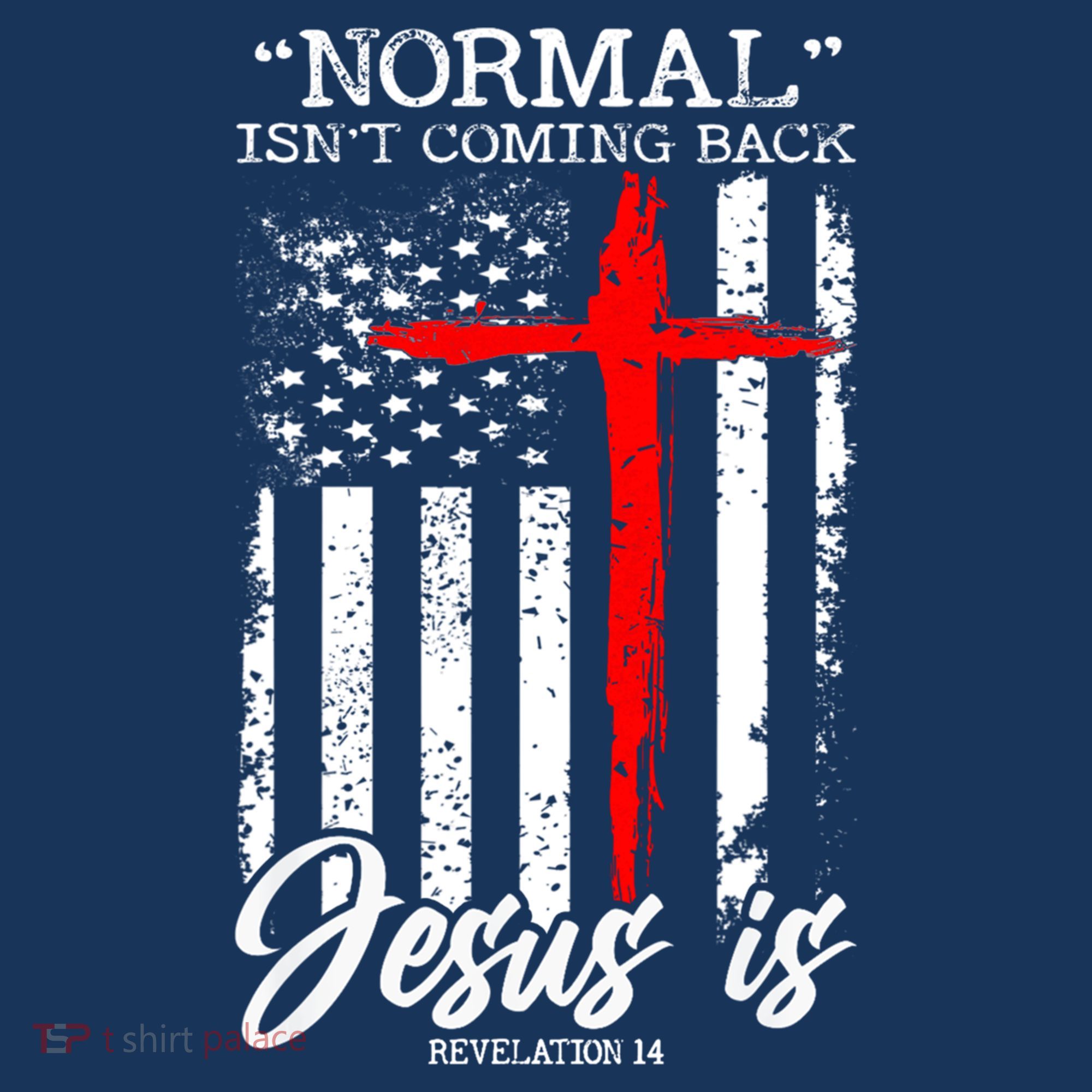 Normal Isn't Coming Back But Jesus Is Revelation 14  Women's Tank Top