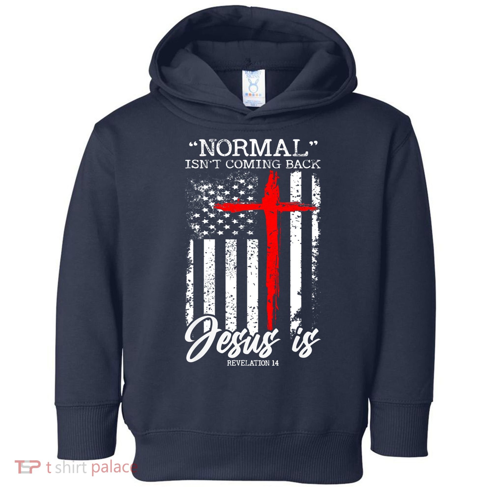 Normal Isn't Coming Back But Jesus Is Revelation 14  Toddler Hoodie