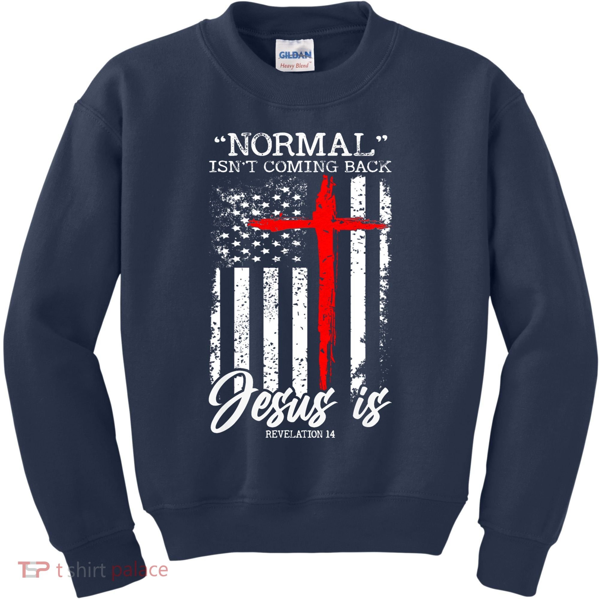 Normal Isn't Coming Back But Jesus Is Revelation 14  Kids Sweatshirt