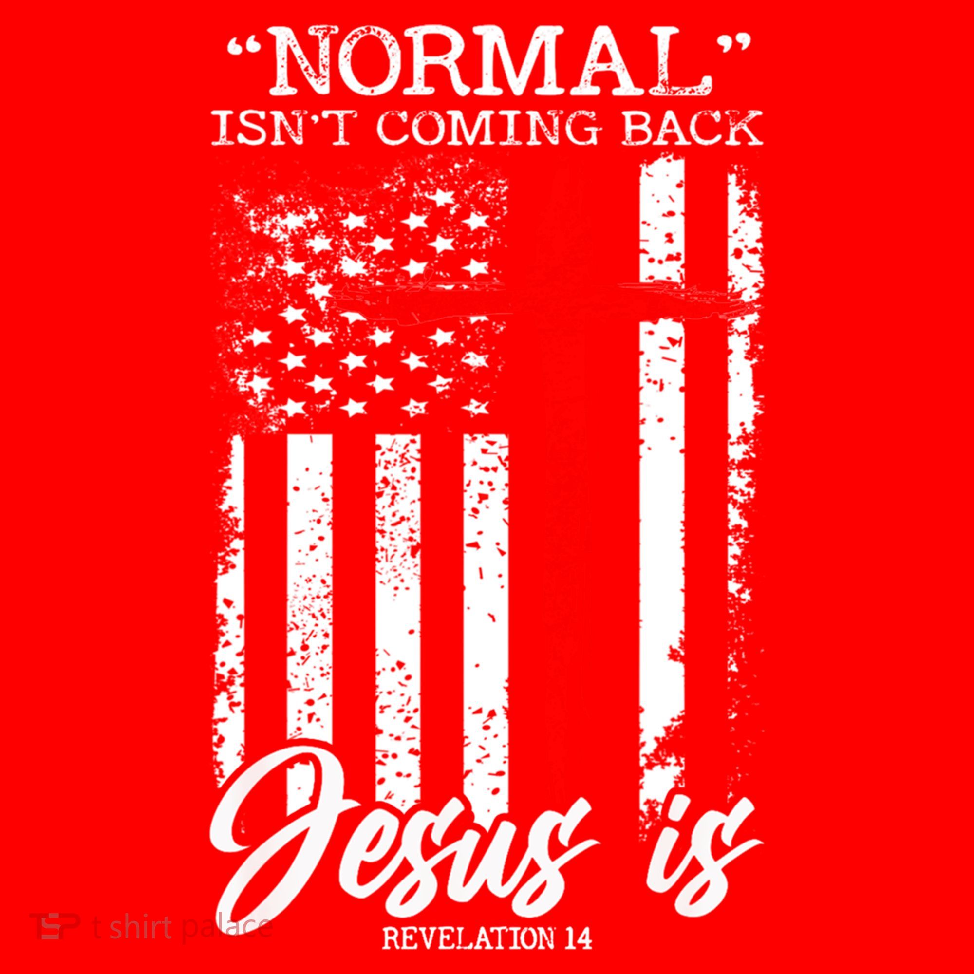 Normal Isn't Coming Back But Jesus Is Revelation 14  Santa Hat