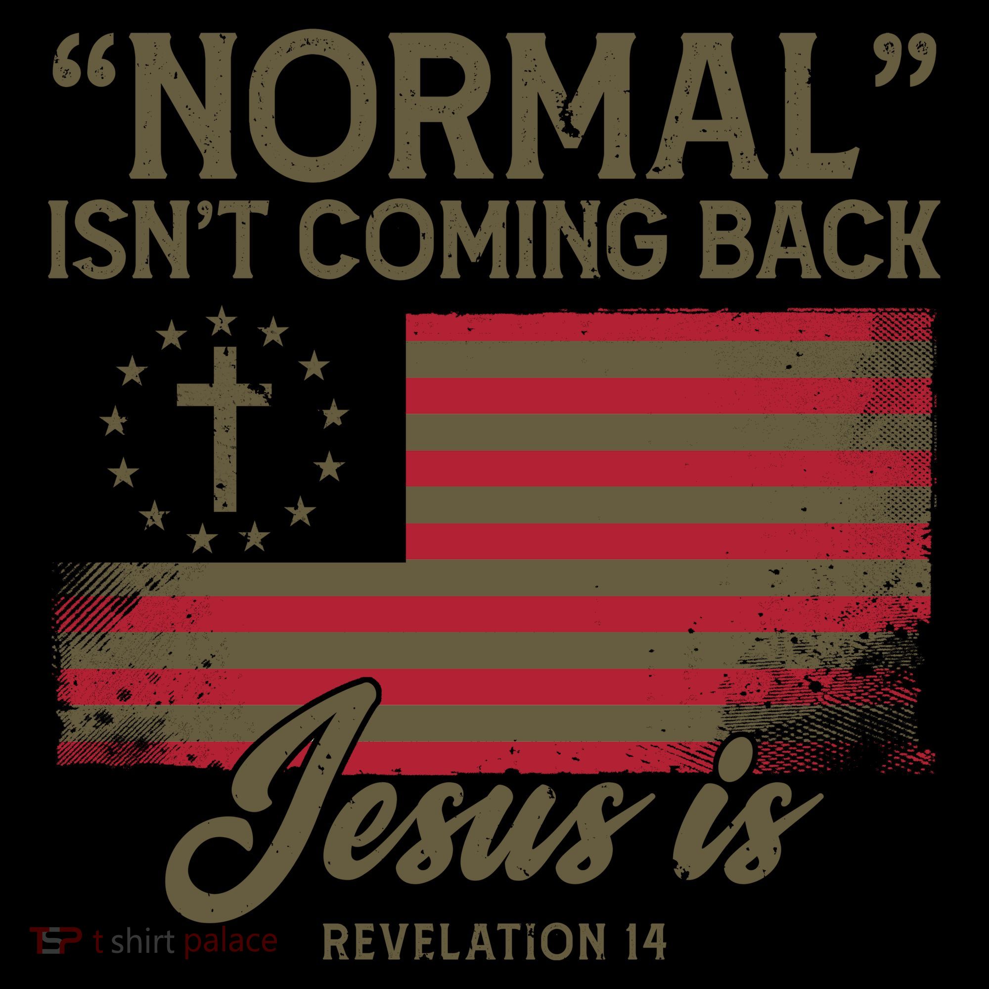 Normal Isnt Coming Back Jesus Is American Flag Coffee Mug