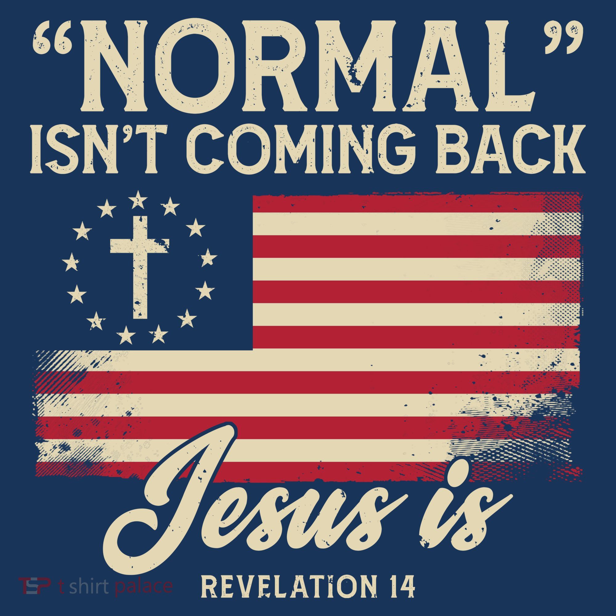 Normal Isnt Coming Back Jesus Is American Flag Beanie