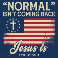 Normal Isnt Coming Back Jesus Is American Flag Hat thumb 2