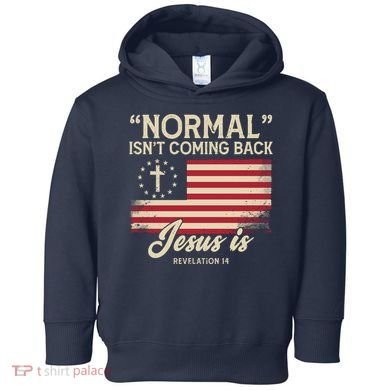 Normal Isnt Coming Back Jesus Is American Flag Toddler Hoodie
