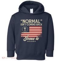 Normal Isnt Coming Back Jesus Is American Flag Toddler Hoodie thumb 0