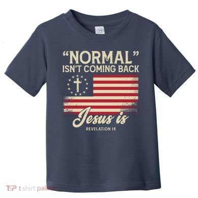 Normal Isnt Coming Back Jesus Is American Flag Toddler T-Shirt