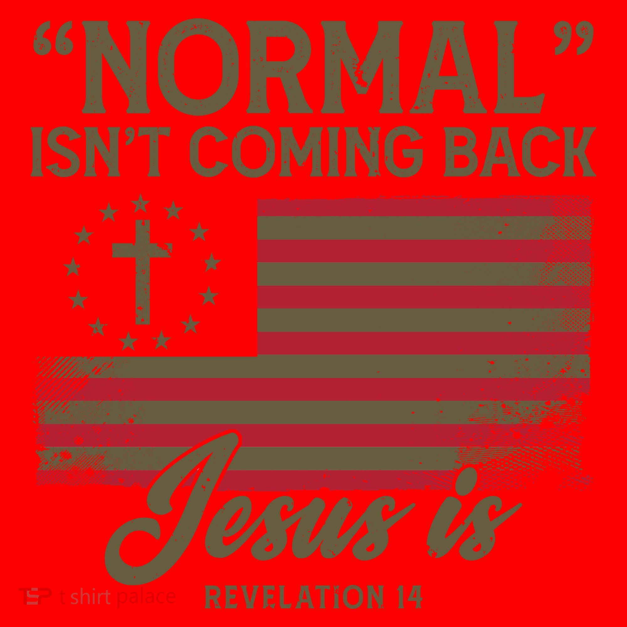 Normal Isnt Coming Back Jesus Is American Flag Santa Hat
