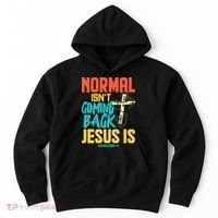Normal Isnt Coming Back Jesus Funny Hoodie thumb 0