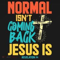 Normal Isnt Coming Back Jesus Funny Bucket Hat thumb 4