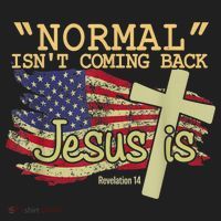 Normal Isn't Coming Back Jesus Is Revelation 14 Christian Women's Sweatshirt thumb 2