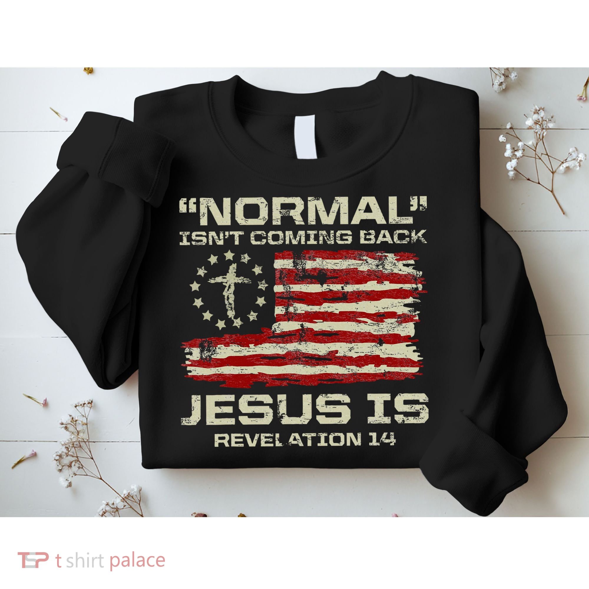 Normal IsnT Coming Back Jesus Is Christian American Flag Sweatshirt