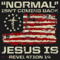 Normal IsnT Coming Back Jesus Is Christian American Flag Sweatshirt thumb 3