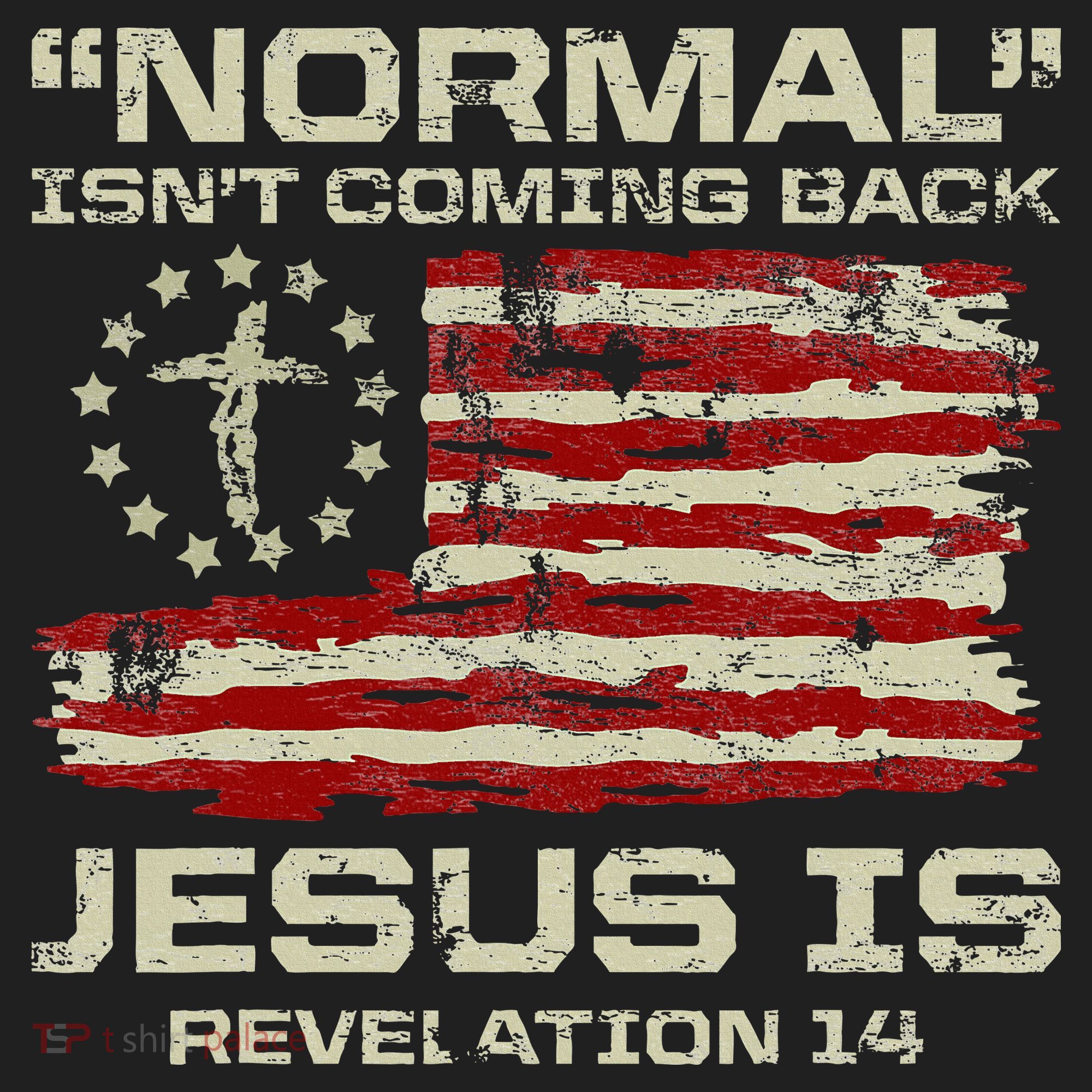 Normal IsnT Coming Back Jesus Is Christian American Flag Tumbler