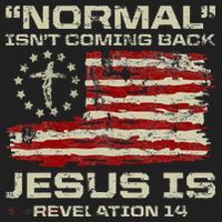 Normal IsnT Coming Back Jesus Is Christian American Flag Hat thumb 2